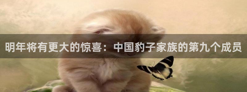 2元网走势图大全
