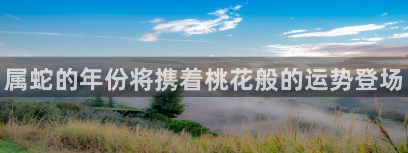 2元网