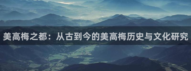 2元网河南二十二