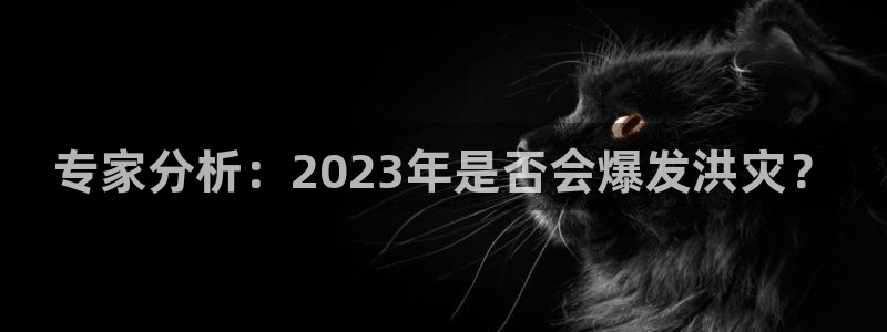 2元网走势图表