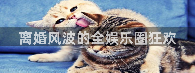 2元网