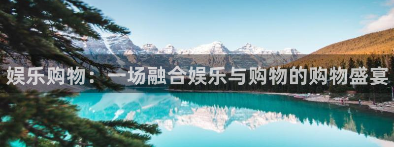 2元网走势图大全