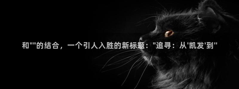 2元网河南二十二