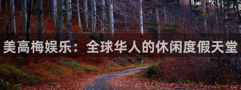 2元网