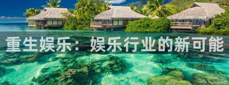 2元网河南二十二