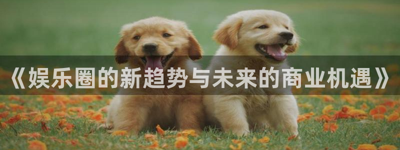 2元彩票官网