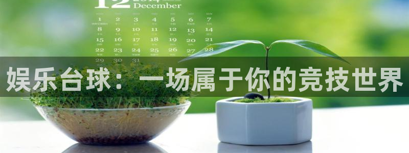 2元网河南二十二
