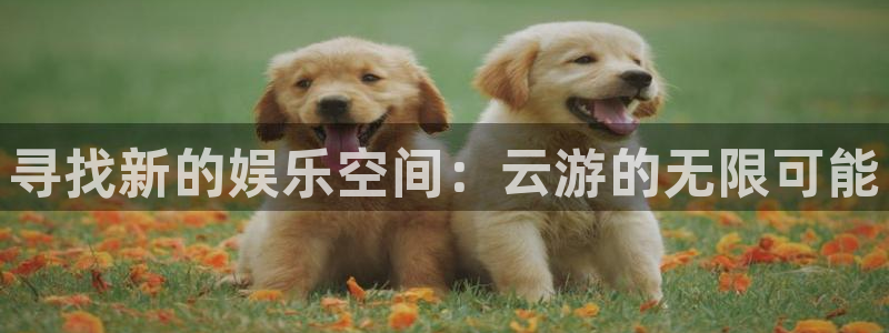 2元网走势图表