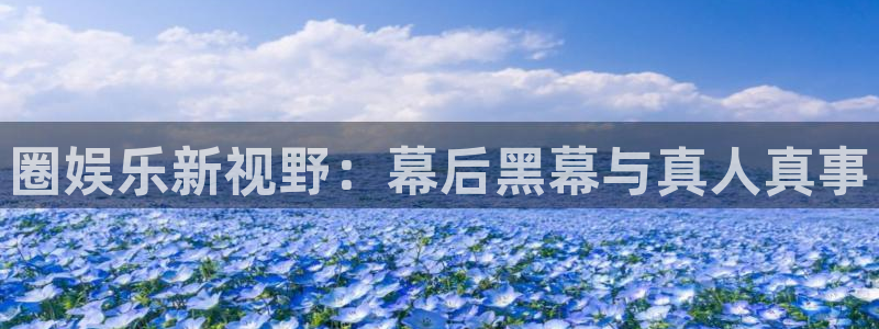 2元网河南二十二