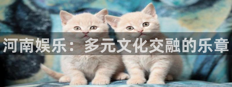 2元网