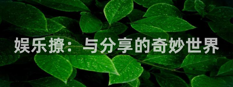 2元网河南二十二