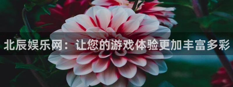 2元网走势图表