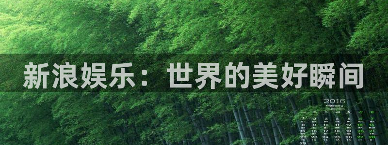 2元网河南二十二选五：新浪娱乐：世界的美好瞬间