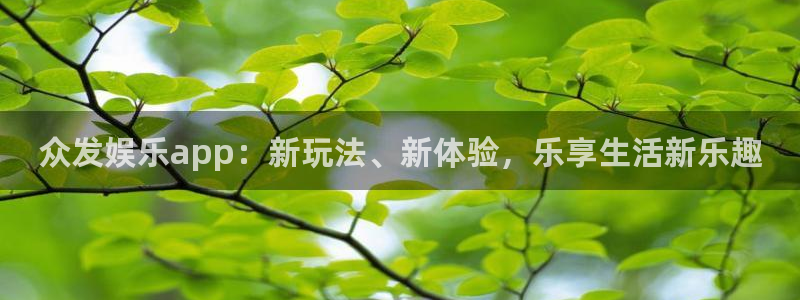 2元网走势图大全：众发娱乐app：新玩法、新体验，乐享生活新乐趣