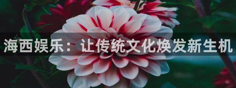 2元网走势图大全：海西娱乐：让传统文化焕发新生机