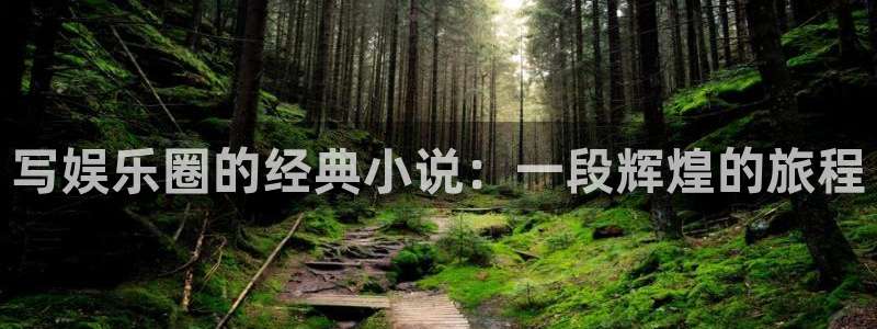 3d连线走势图2元网：写娱乐圈的经典小说：一段辉煌的旅程