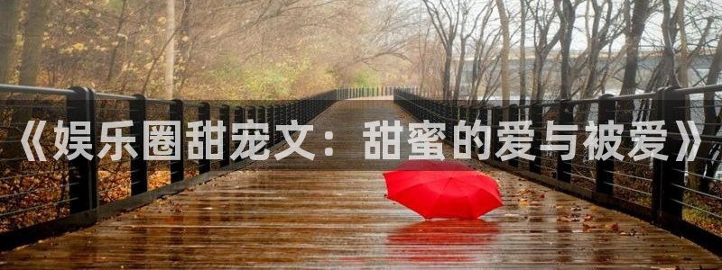 2元网：《娱乐圈甜宠文：甜蜜的爱与被爱》