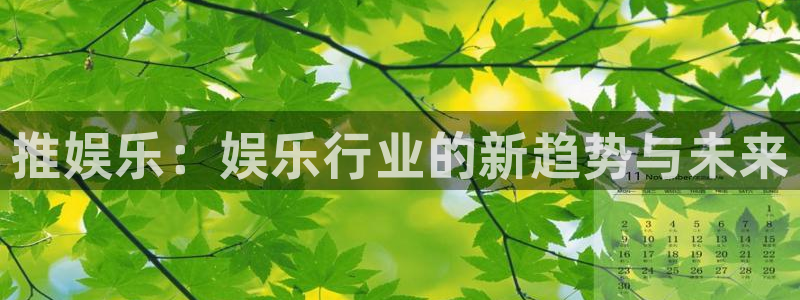 2元网河南二十二选五：推娱乐：娱乐行业的新趋势与未来