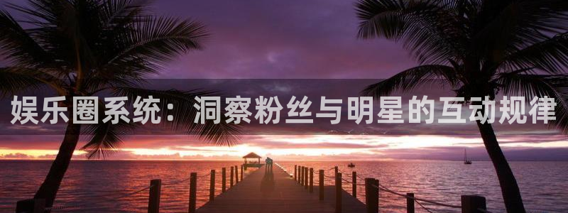 2元网河南二十二：娱乐圈系统：洞察粉丝与明星的互动规律