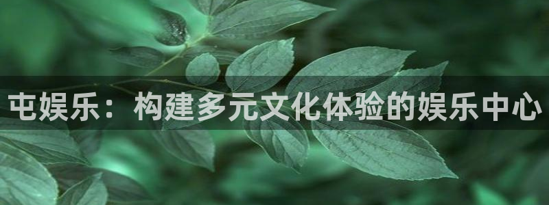 2元网走势图表：屯娱乐：构建多元文化体验的娱乐中心