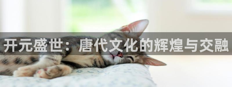 2元彩票官网：开元盛世：唐代文化的辉煌与交融