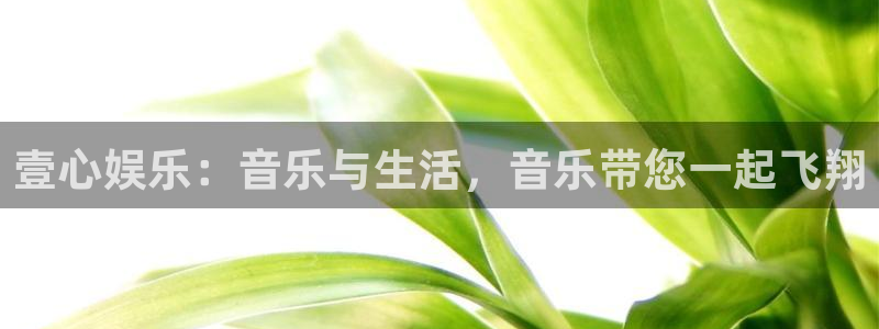 3d连线走势图2元网：壹心娱乐：音乐与生活，音乐带您一起飞翔