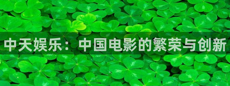 2元彩票官网：中天娱乐：中国电影的繁荣与创新